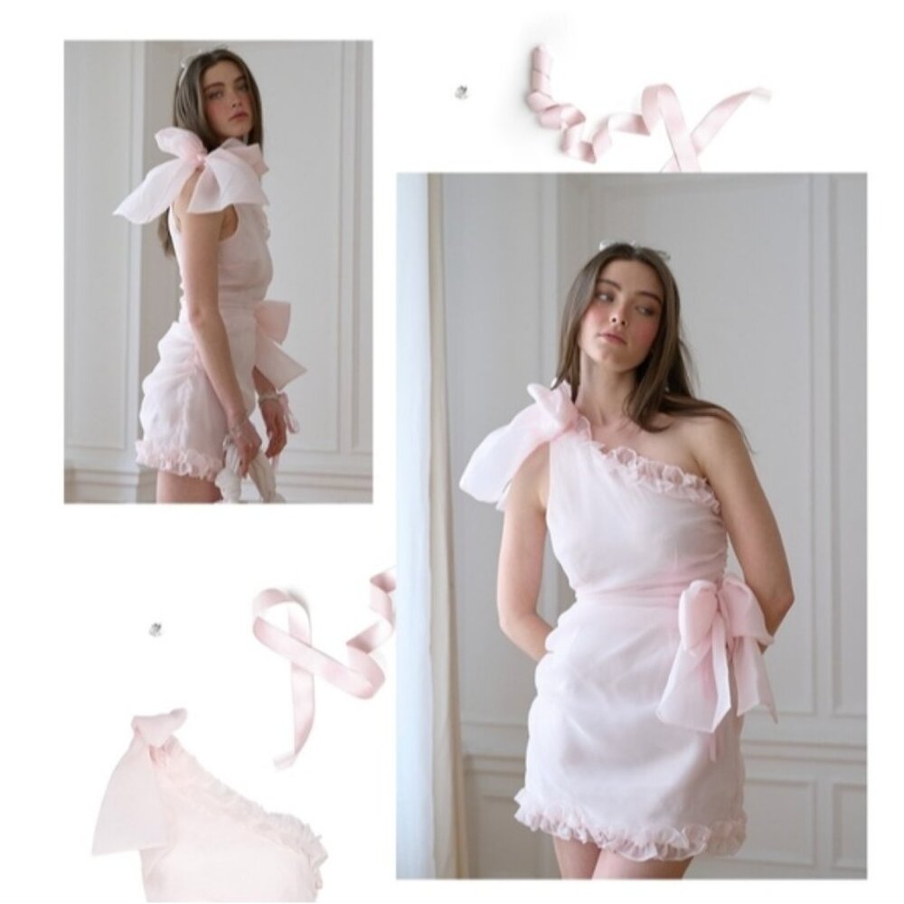 Nwt Selkie pink Strawberry milk carrie dress M